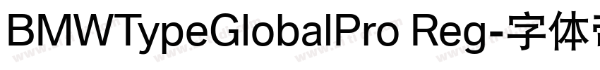 BMWTypeGlobalPro Reg字体转换 BMWTypeGlobalPro Reg字体转换